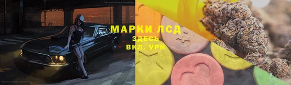 винт Вяземский