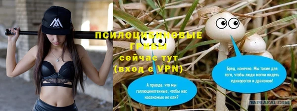 МДПВ Вязьма