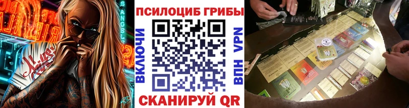 где купить наркоту  Ершов  Псилоцибиновые грибы Magic Shrooms 