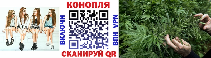 Бошки Шишки VHQ  Ершов 